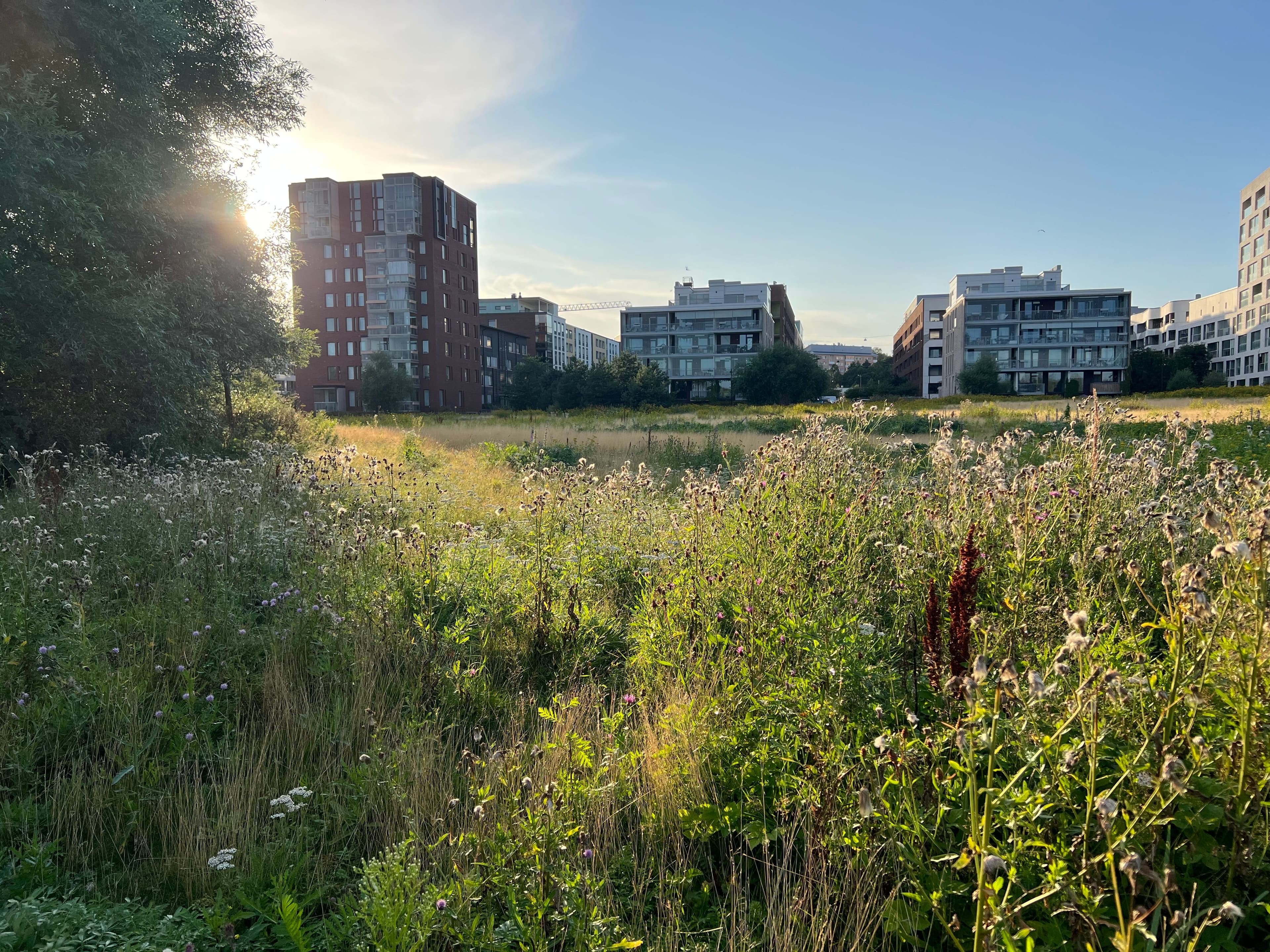 Blogi: Ennakoimaton maankäytön suunnittelu tulee kunnalle kalliiksi